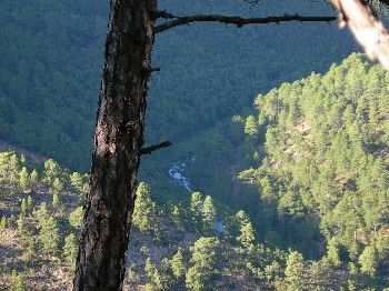 el Júcar en el fondo de la hoz