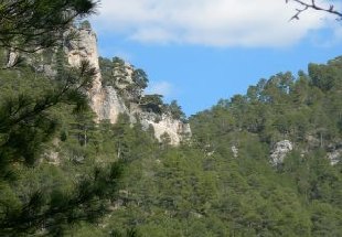 Barreras naturales del hosquillo